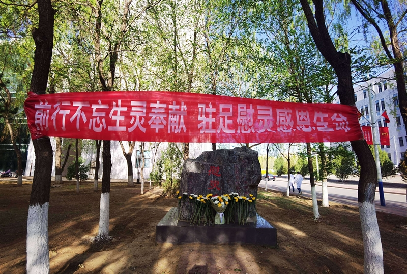 缅怀实验动物